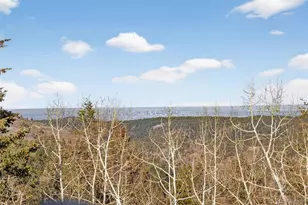 12291 S Critchell Ln, Littleton, CO 80127 - Photo 41