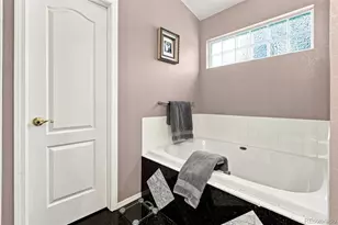 9836 Florence Pl, Highlands Ranch, CO 80126 - Photo 23