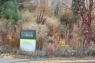 1365 Columbine St, Denver, CO 80206 - Photo 37