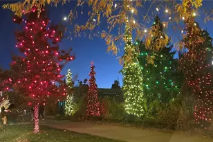 1365 Columbine St, Denver, CO 80206 - Photo 47