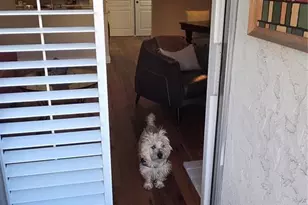 1365 Columbine St, Denver, CO 80206 - Photo 43