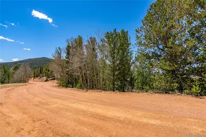 Brown Bear Drive, Cripple Creek, CO 80813 - Photo 3