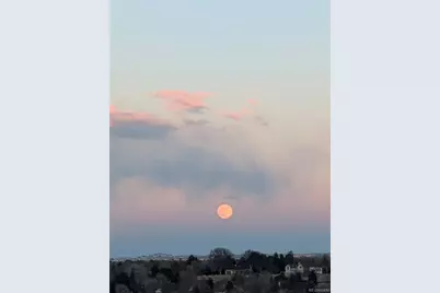 3131 E Alameda Avenue #2002, Denver, CO 80209 - Photo 11