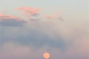 3131 E Alameda Ave, Denver, CO 80209 - Photo 11