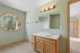 303 Kudu Trail, Bailey, CO 80421 - Photo 9