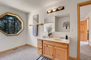 303 Kudu Trail, Bailey, CO 80421 - Photo 33