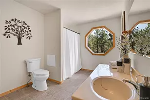 303 Kudu Trail, Bailey, CO 80421 - Photo 19