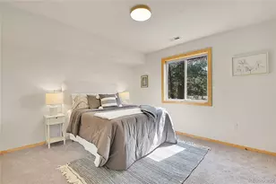 303 Kudu Trail, Bailey, CO 80421 - Photo 5