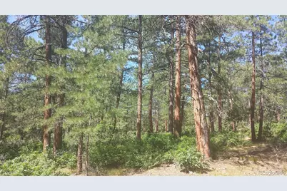 4467 Delaware Drive, Larkspur, CO 80118 - Photo 43