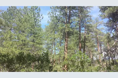 4467 Delaware Drive, Larkspur, CO 80118 - Photo 29