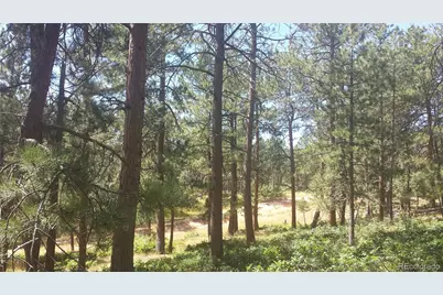 4467 Delaware Drive, Larkspur, CO 80118 - Photo 45