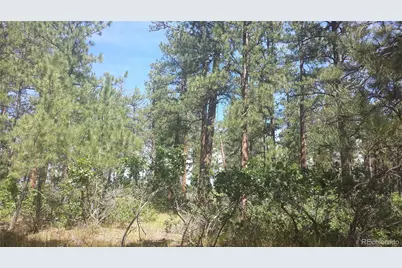 4467 Delaware Drive, Larkspur, CO 80118 - Photo 23