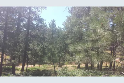 4467 Delaware Drive, Larkspur, CO 80118 - Photo 41