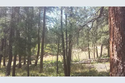 4467 Delaware Drive, Larkspur, CO 80118 - Photo 35