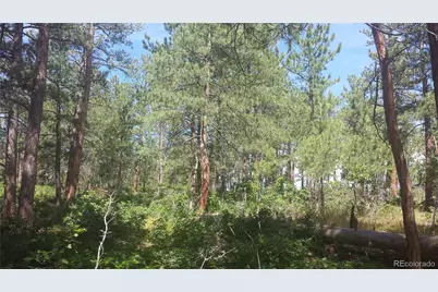 4467 Delaware Drive, Larkspur, CO 80118 - Photo 19