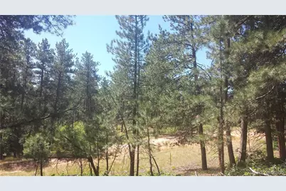 4467 Delaware Drive, Larkspur, CO 80118 - Photo 31