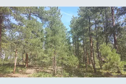 4467 Delaware Drive, Larkspur, CO 80118 - Photo 17