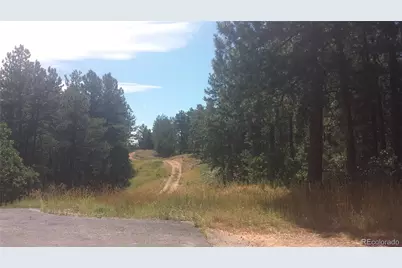 4467 Delaware Drive, Larkspur, CO 80118 - Photo 9