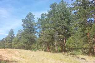 4467 Delaware Dr, Larkspur, CO 80118 - Photo 1