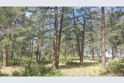 4467 Delaware Drive, Larkspur, CO 80118 - Photo 47