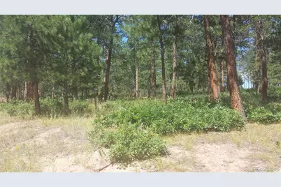 4467 Delaware Drive, Larkspur, CO 80118 - Photo 5