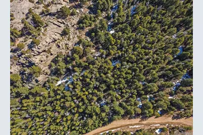 33131 Lynx Lane, Evergreen, CO 80439 - Photo 5