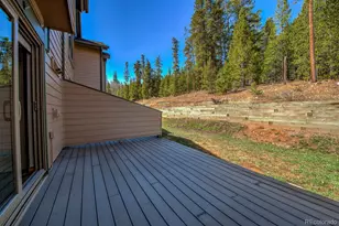 293 Kestrel Ln, Silverthorne, CO 80498 - Photo 23