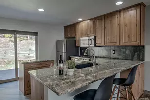 293 Kestrel Ln, Silverthorne, CO 80498 - Photo 13