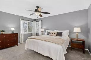 523 Timberline Pl, Highlands Ranch, CO 80126 - Photo 19