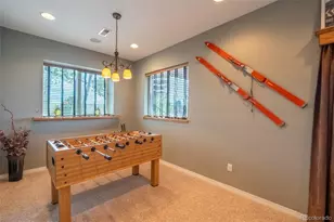 2385 Antelope Ridge Trail, Parker, CO 80138 - Photo 43