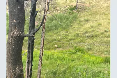 954 Forbes Park Road, Fort Garland, CO 81133 - Photo 11