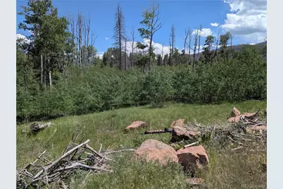 954 Forbes Park Road, Fort Garland, CO 81133 - Photo 7