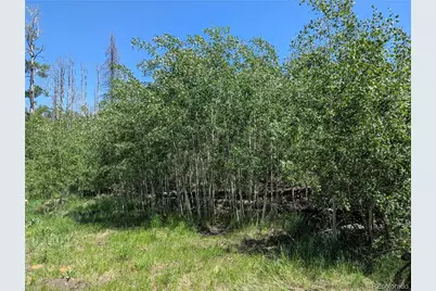 954 Forbes Park Road, Fort Garland, CO 81133 - Photo 5