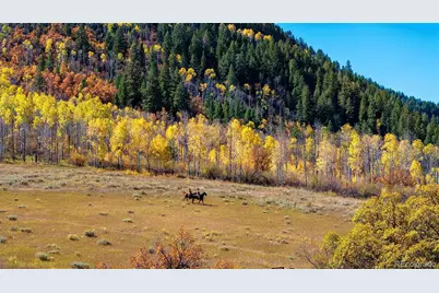 30680 County Road 12, Somerset, CO 81434 - Photo 13