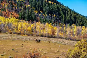 30680 Co Rd 12, Somerset, CO 81434 - Photo 13