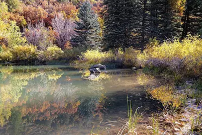 30680 County Road 12, Somerset, CO 81434 - Photo 15