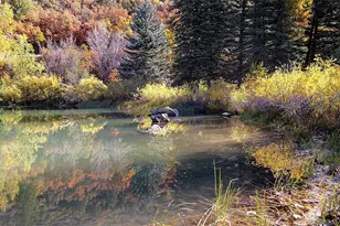 30680 Co Rd 12, Somerset, CO 81434 - Photo 15