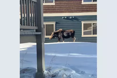 140 Sterling Loop #202, Fraser, CO 80442 - Photo 23