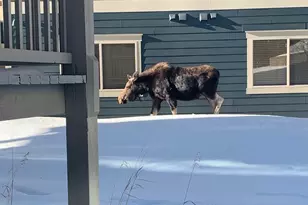 140 Sterling Loop, Fraser, CO 80442 - Photo 23