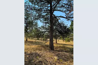 17222 County Road 78, Calhan, CO 80808 - Photo 13