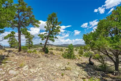 896 Shannon Trail, Cotopaxi, CO 81223 - Photo 3