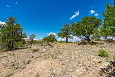 896 Shannon Trail, Cotopaxi, CO 81223 - Photo 17