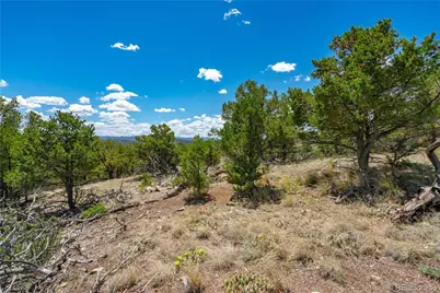 896 Shannon Trail, Cotopaxi, CO 81223 - Photo 9