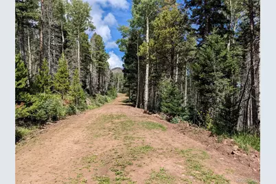 2379 Larry Place, Fort Garland, CO 81133 - Photo 13