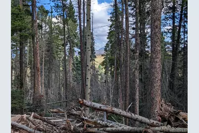 2379 Larry Place, Fort Garland, CO 81133 - Photo 5