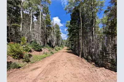 2379 Larry Place, Fort Garland, CO 81133 - Photo 9