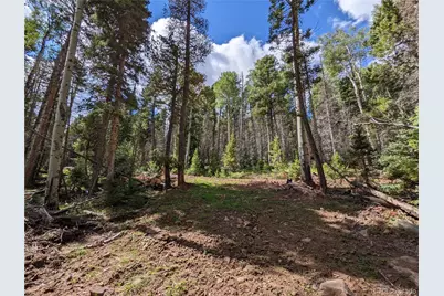 2379 Larry Place, Fort Garland, CO 81133 - Photo 7