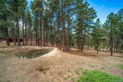 3654 Estates Circle, Larkspur, CO 80118 - Photo 47
