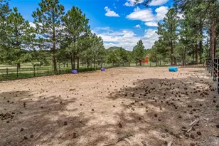 3654 Estates Circle, Larkspur, CO 80118 - Photo 45