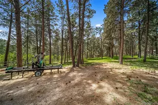 3654 Estates Circle, Larkspur, CO 80118 - Photo 41